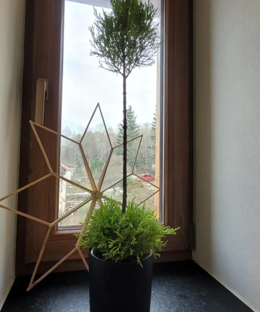 Wrzosowy Zakatek Apartment Karpacz